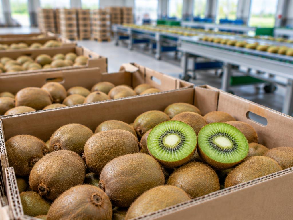 Kiwis